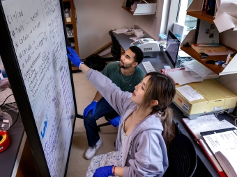 a group of two students looking at whiteboard together