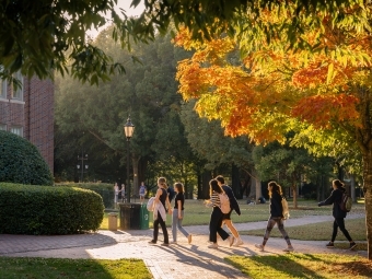 Sunlit students walking into Chambers