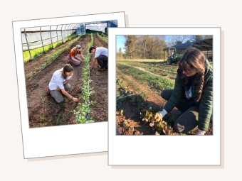 Polaroids of farm students on a tan background