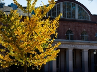 a brick building on a sunny day