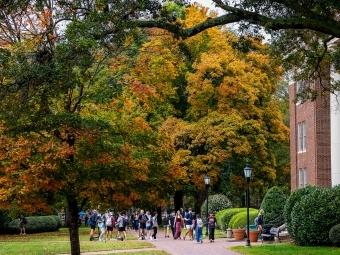 a group of students walk on a college campus in front of a yellow and orange tree