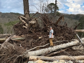 a professor stands on a downed tree in a forest on a cloudy day