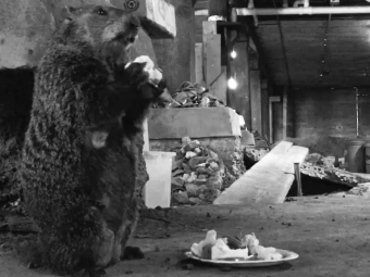 Groundhog at a table that helped unearth artifacts - The Mary Street Midden Project