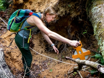 a young woman measures a downed tree in the woods