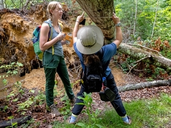 two young women measure a downed tree in the woods while wearing hiking clothes