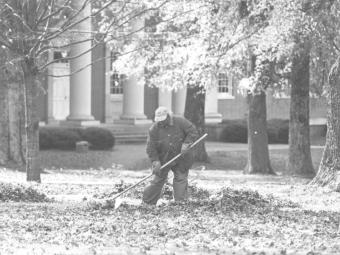 Archival black and white photo of black man raking autumn leaves on campus