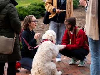 students meet with dogs outside on a college campus
