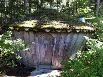 A small, circular wooden yurt with a moss-covered roof and a central skylight sits nestled in a dense evergreen forest.
