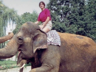 A woman in a pink shirt and khaki shorts sits atop a large elephant with its trunk raised, positioned in an outdoor setting with lush green trees in the background.