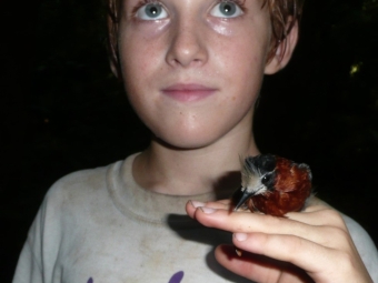 Stouffer holding an antbird in the Amazon rainforest