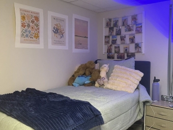 A lofted dorm bed with light green bedding and several plush animals is set against a wall decorated with floral art posters and a grid of personal photos.