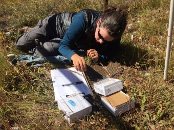A researcher lies in the grass next to a clipboard, storage boxes, and field equipment while conducting environmental grid sampling.