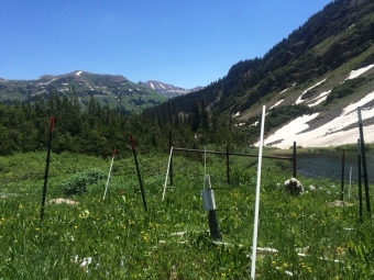 An alpine field research site with measuring poles and equipment set up in a green meadow next to a mountain lake and snowy peaks.