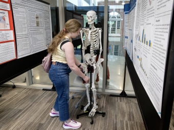 Verna Miller Case Research and Creative Works Symposium student observing skeleton in presentatino