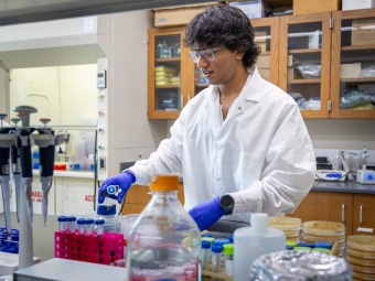 A student researcher in a white lab coat and blue gloves works at a lab bench surrounded by sample tubes and petri dishes.