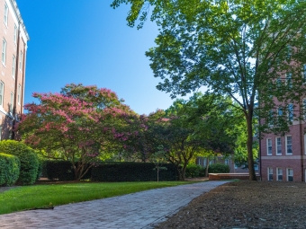 Beautiful Davidson Campus with brick paths and trees