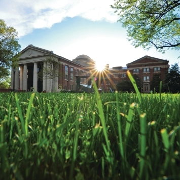 Chambers through blades of grass and the sunrise