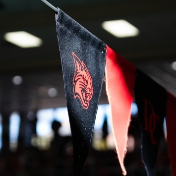 Wildcat on a flag at swim meet