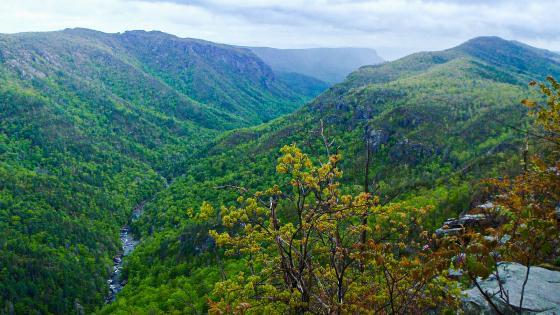 Linville Gorge View from Top 