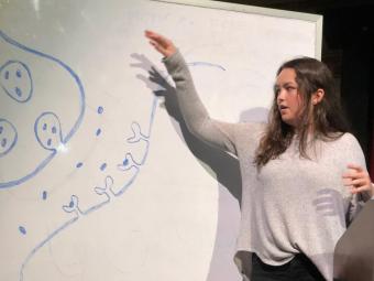 Student gives presentation while pointing to whiteboard drawing