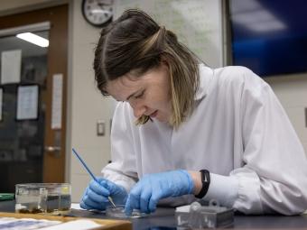Student does research in neuroscience lab